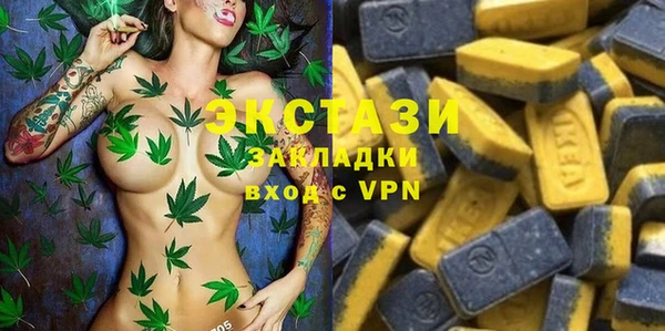 Альфа ПВП Верея