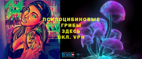 Альфа ПВП Верея