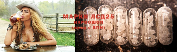Альфа ПВП Верея