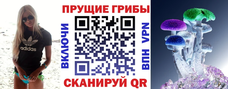 Галлюциногенные грибы Psilocybe  ОМГ ОМГ ONION  Вытегра 